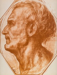 Studie van een mannenhoofd door Andrea del Sarto